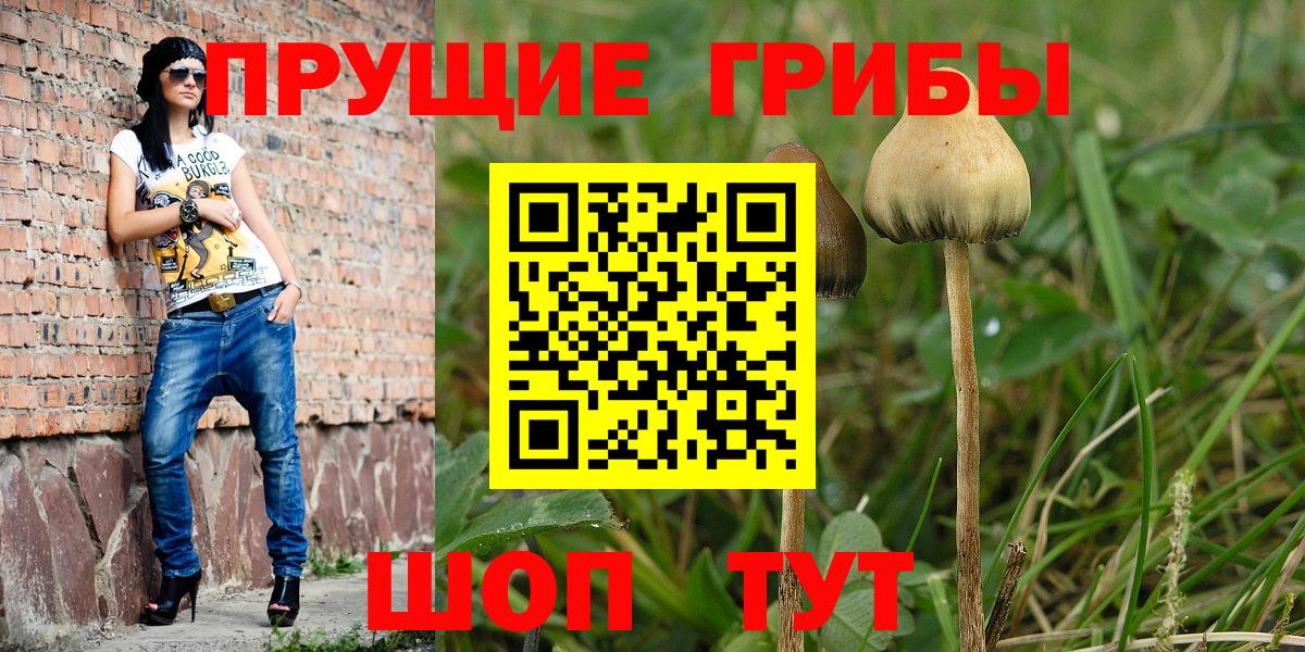 Галлюциногенные грибы Magic Shrooms Моздок